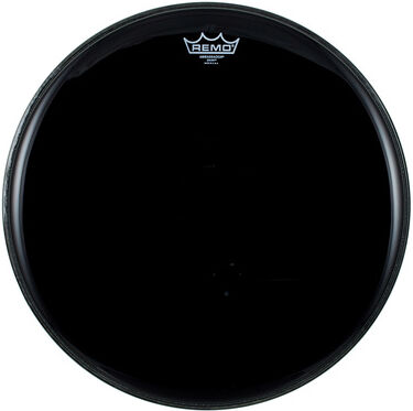 Remo "18" Ambassador Ebony"