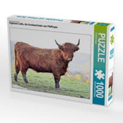 CALVENDO Puzzle Highland Cattle, die Hochlandrinder aus Pfeffingen 1000 Teile Lege-Größe 64 x 48 cm Foto-Puzzle Bild von Günther Geiger