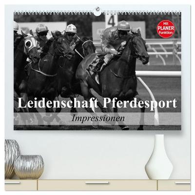 Leidenschaft Pferdesport - Impressionen (hochwertiger Premium Wandkalender 2026 DIN A2 quer), Kunstdruck in Hochglanz