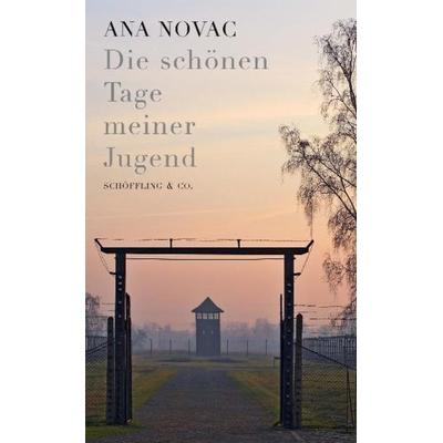 Die schönen Tage meiner Jugend, Taschenbuch von Ana Novac, Schöffling, 978-3-89561-415-6