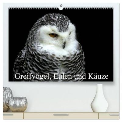 Greifvögel, Eulen und Käuze (hochwertiger Premium Wandkalender 2027 DIN A2 quer), Kunstdruck in Hochglanz