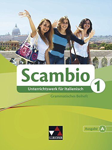 Isabella Maurer - Scambio A / Grammatisches Beiheft 1: Unterrichtswerk für Italienisch in zwei Bänden - Preis vom 16.10.2026 11:41:07 h