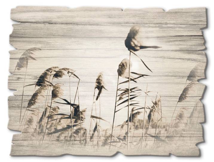 Holzbild ARTLAND Gräser , beige (farbe bild(er): natur), B:40cm H:30cm, Bilder, Holzbild