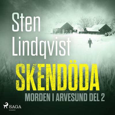 Skendöda - Sten Lindqvist, Audio, 9788726710212