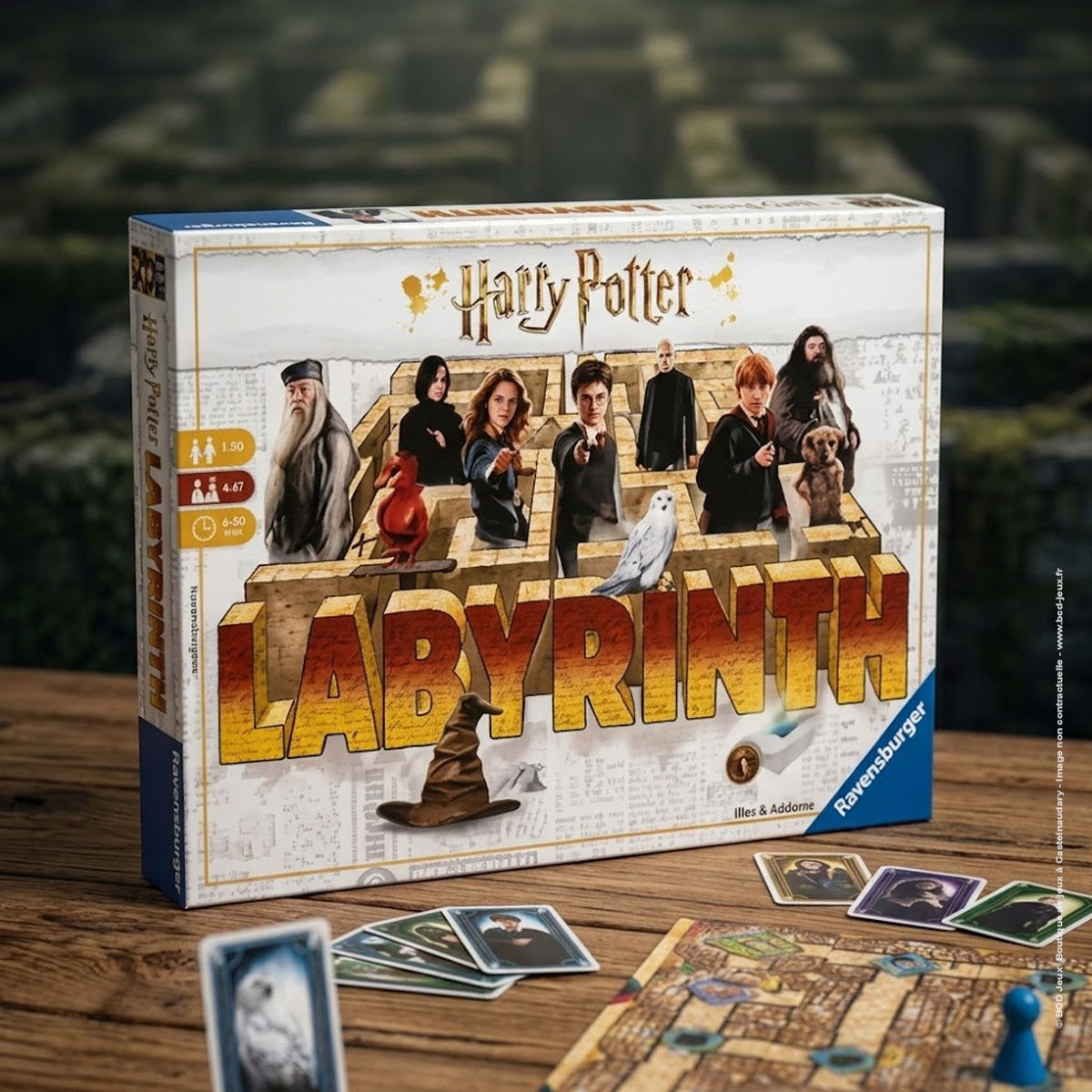 Ravensburger Labyrinthe Harry Potter
