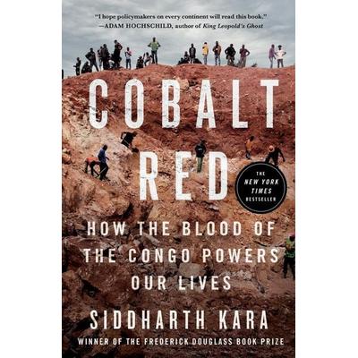 Cobalt Red, Taschenbuch von Siddharth Kara, Macmillan USA, 978-1-250-32215-9