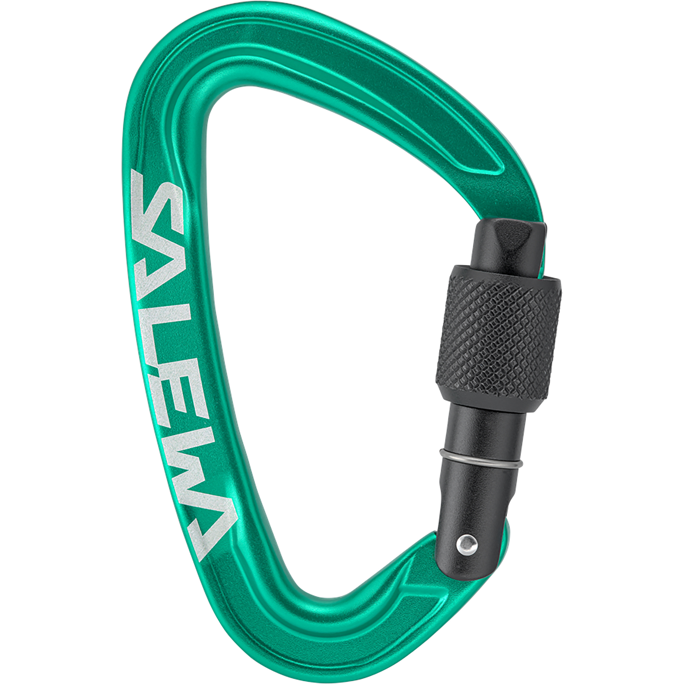 Salewa Ortles Screw Karabiner Karabiner gruen Alpinklettern