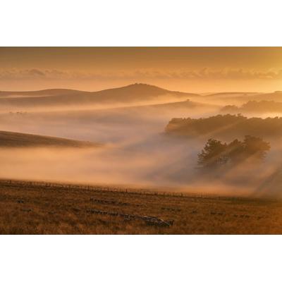 Papermoon "Nebel in Landschaft"