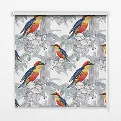 INNENROLLO - Fensterrollo - Rollo - 100x180 cm - Farbenfroher Vogel