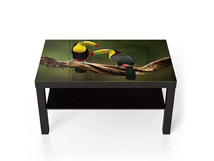 DEQORI Glastisch schwarz groß 90x50 cm Motiv Tukan-Pärchen sitzend ausgefallener Beistelltisch aus Glas Hochglanz Couchtisch fürs Wohnzimmer moderner Couch Tisch mit Design