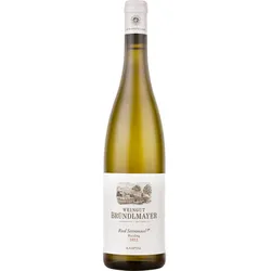 Bründlmayer Riesling Ried Steinmassel 1ÖTW Erste Lage DAC 2022