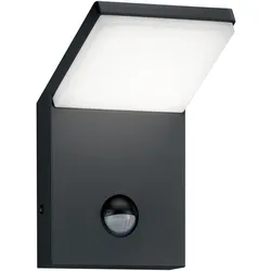 Wandleuchte PEARL (BHT 10x16x10,50 cm) - BHT 10x16x10,50 cm