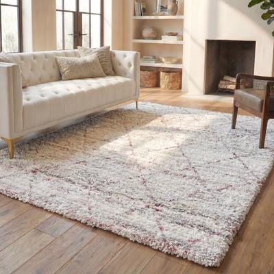 SAFAVIEH Fontana Shag Alja Modern Trellis 2-inch Thick Rug