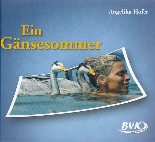 Angelika Hofer - Ein Gänsesommer - Preis vom 06.10.2026 07:26:00 h