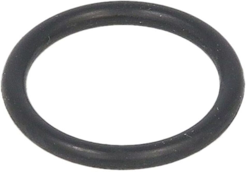 Gummi-O-Rings WABCO 897 073 076 4