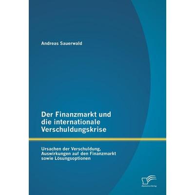 Der Finanzmarkt und die internationale Verschuldungskrise: Ursachen der Verschuldung, Auswirkungen auf den Finanzmarkt sowie Lösungsoptionen,