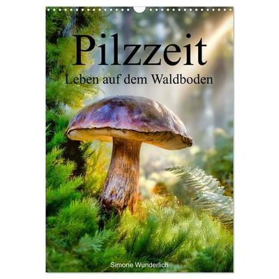 Pilzzeit - Leben auf dem Waldboden (Wandkalender 2027 DIN A3 hoch), CALVENDO Monatskalender