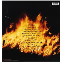 Rhino, Schallplatten, Reinventing The Steel (Pantera)