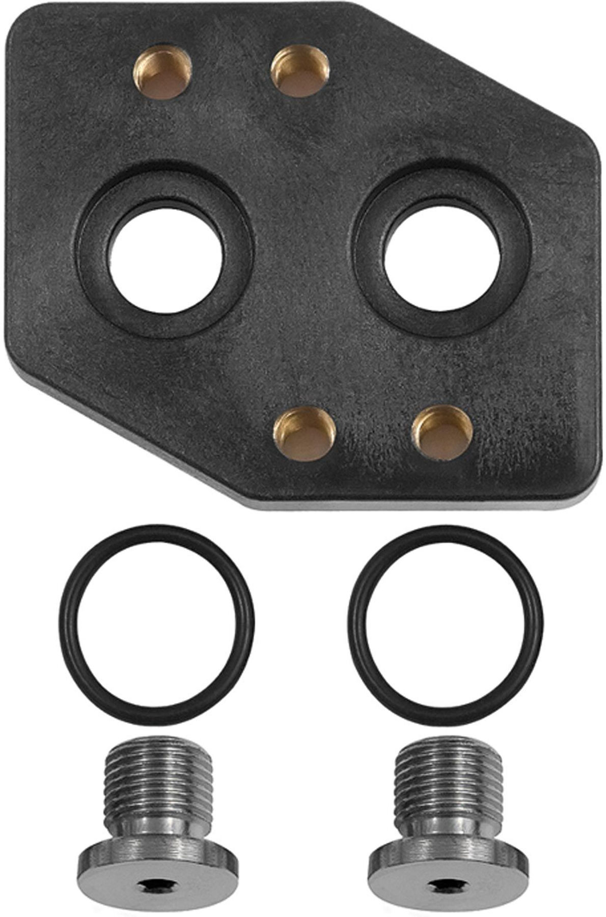 Riegler NAMUR-Adapterplatte für Schrägsitzventile G 1/2 - G 2 (NAP)