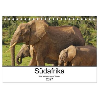 Südafrika - Eine beeindruckende Tierwelt (Tischkalender 2027 DIN A5 quer), CALVENDO Monatskalender