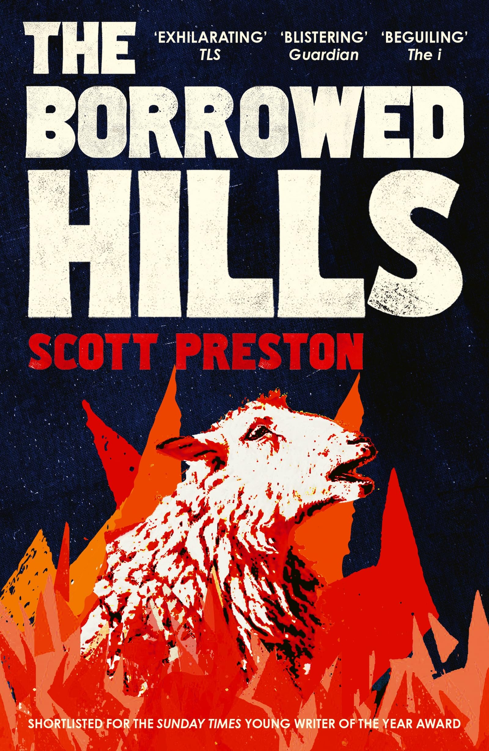 The Borrowed Hills: 'A sucker-punch of a novel' Guardian - Preis vom 17.10.2026 19:25:27 h