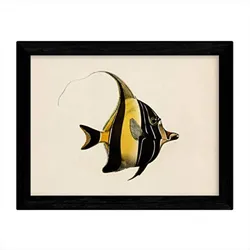POSTER Artistic Fish – Yellow Lines A3 Rahmenlos