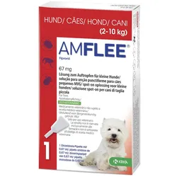 Amflee 67 mg Lösung zum Auftropfen für kleine Hunde 2-10kg 3 St Lösung