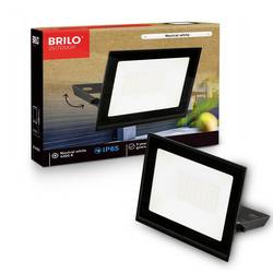 Briloner VARO 4051015 LED-Außenwandleuchte 30 W Leuchtfarben: Neutralweiß