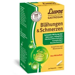 Luvos Gastrosan Blähungen & Schmerzen Kapseln 30 St
