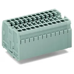 WAGO GmbH &amp; Co. KG 2-Leiter-Klemmenleiste 869-162