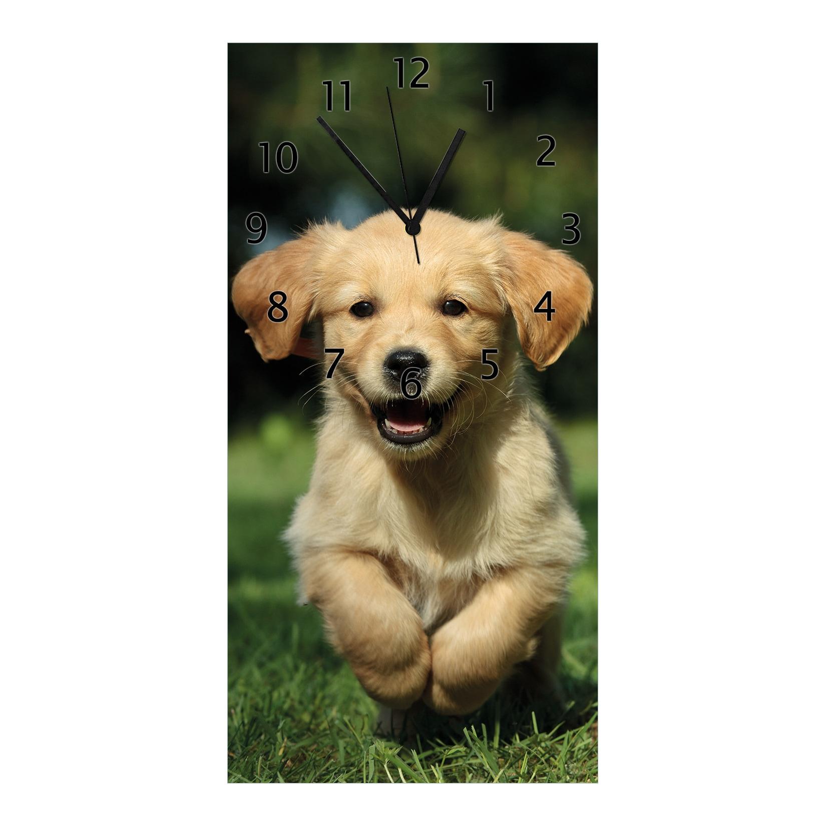 Wallario Uhr 20 x 20 cm, weiße Zeiger Süßer Hund - Golden Retriever