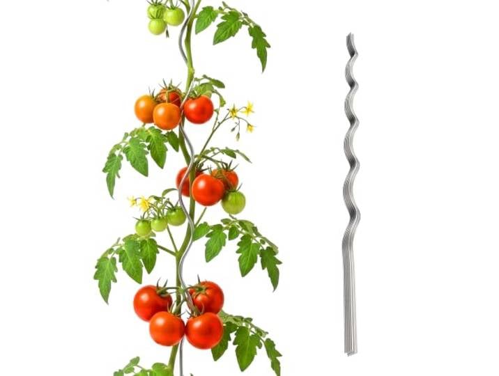 Relaxdays Tuteurs en Spirale pour tomates\, Lot de 10\, H 170 cm\, Ø 5 mm\, métal galvanisé