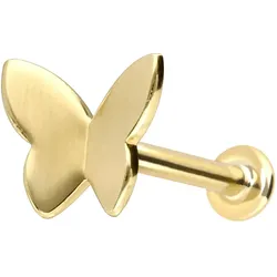 14 Karat Gold Labret mit Innengewinde SCHMETTERLING