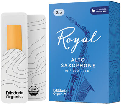 DAddario Woodwinds Royal Alto Saxophone 2.5