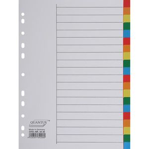 Quantus Register Kunststoff, A4, blanko, 20-teilig, vollfarbig