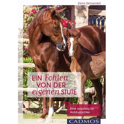 Ein Fohlen von der eigenen Stute, Taschenbuch von Karin Kattwinkel, Cadmos Verlag, 978-3-8404-1513-5