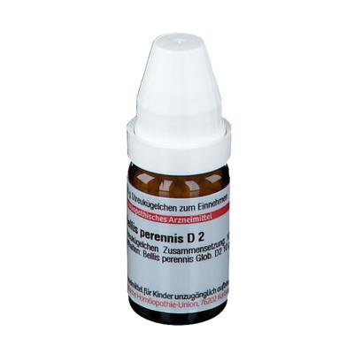 Bellis Perennis D 2 Globuli 10 g