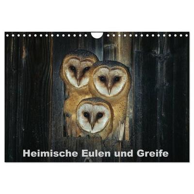 Heimische Eulen und Greife (Wandkalender 2027 DIN A4 quer), CALVENDO Monatskalender