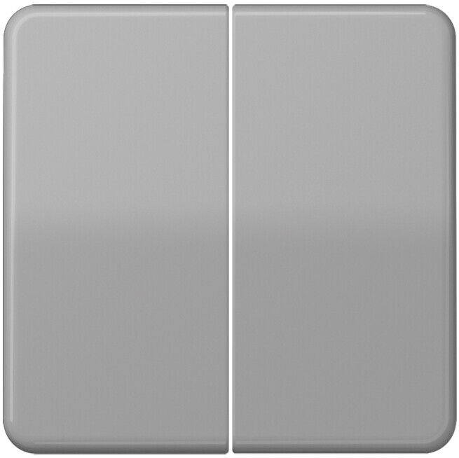 Jung Bascule gr pour bouton-poussoir CD 595 (CD595GR)