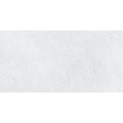 Fineza Abe Bodenfliese hellgrau 30x60 cm matt ABE36LGRR