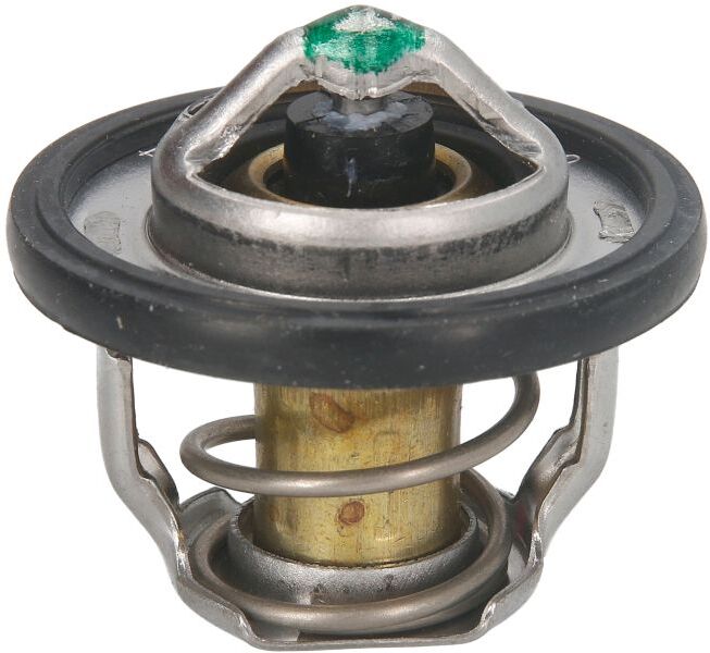 Tourmax Termostato, refrigerante TMT-304