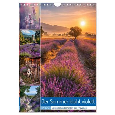 Der Sommer blüht violett (Wandkalender 2027 DIN A4 hoch), CALVENDO Monatskalender
