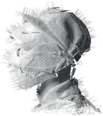 Woodkid - The Golden Age - Preis vom 17.10.2026 19:25:27 h