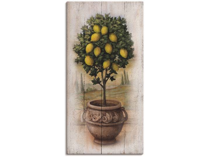 Leinwandbild ARTLAND Zitronenbaum mit Holzoptik , bunt (farbe bild(er): naturfarben), B:20cm H:40cm, Bilder, Leinwandbild, auf Holzrahmen gespannt