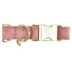 Kentucky Dogwear Hundehalsband Kentucky Velvet (Hund, Allgemein), Halsband + Leine