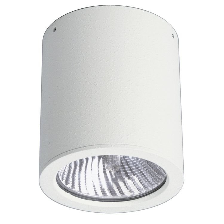 Albert Opbouwspots buiten plafond Cylinder 11cm