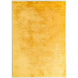 Teppich TANGO (BL 80x150 cm) - BL 80x150 cm