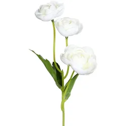 Kunstblume Ranunkel-Pick 24 cm Kunststoff Beige Creme