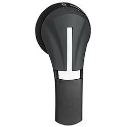 Schneider Electric GS2AH330 GS2AH330 Handgriff 1 St. Piece