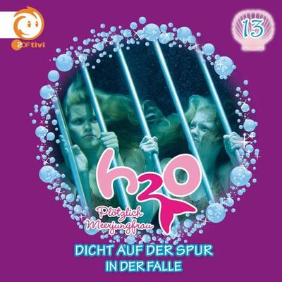 13: Dicht auf der Spur / In der Falle - Thomas Karallus,Henning Stegelmann, Audio, 4057664075444